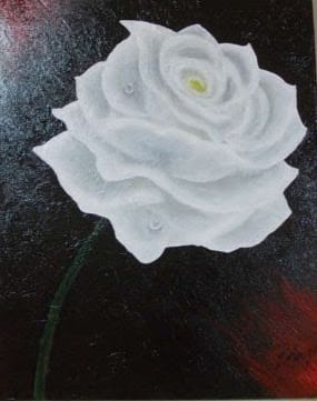 White Rose