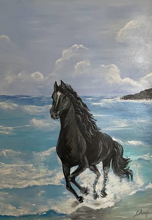 Black horse